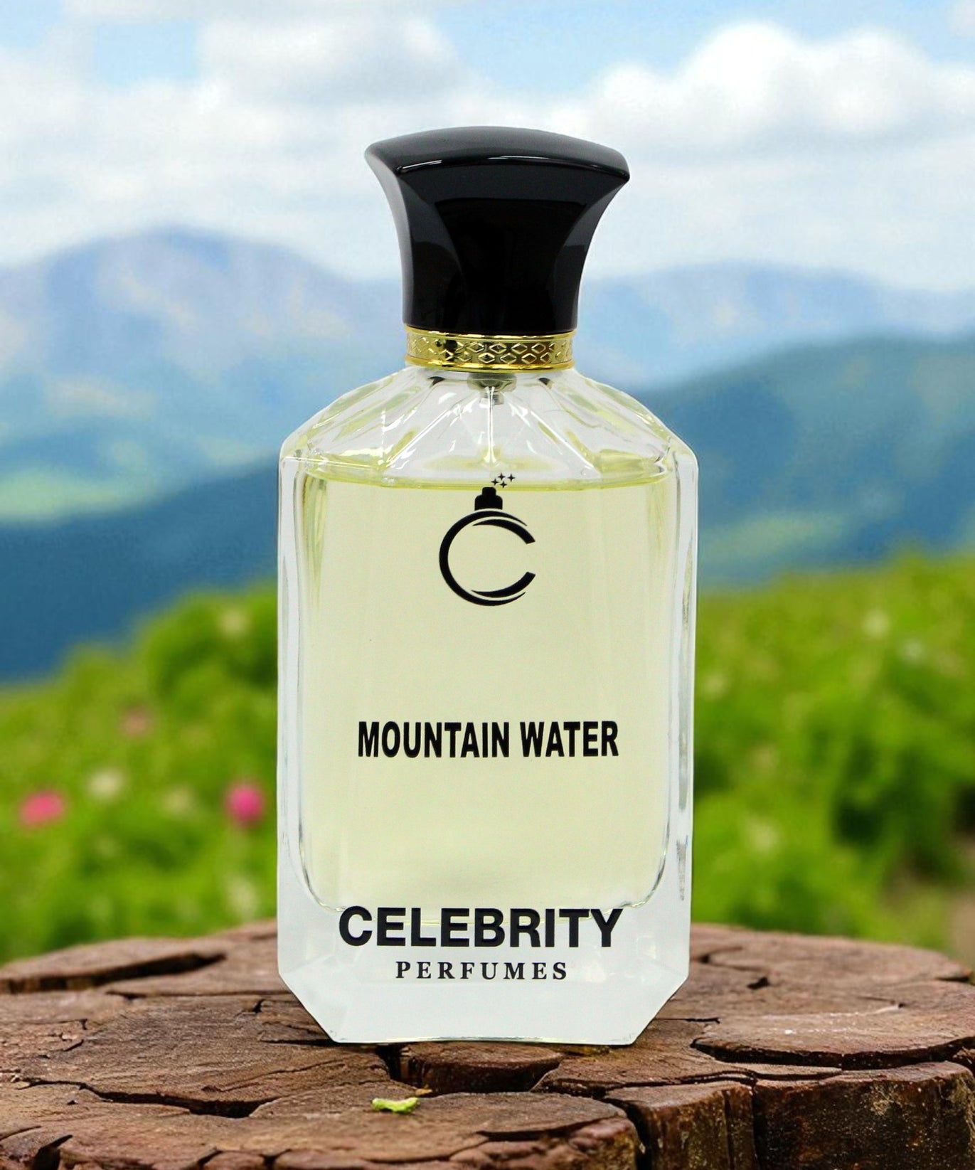 Mountain Water - Silver Mountain Water