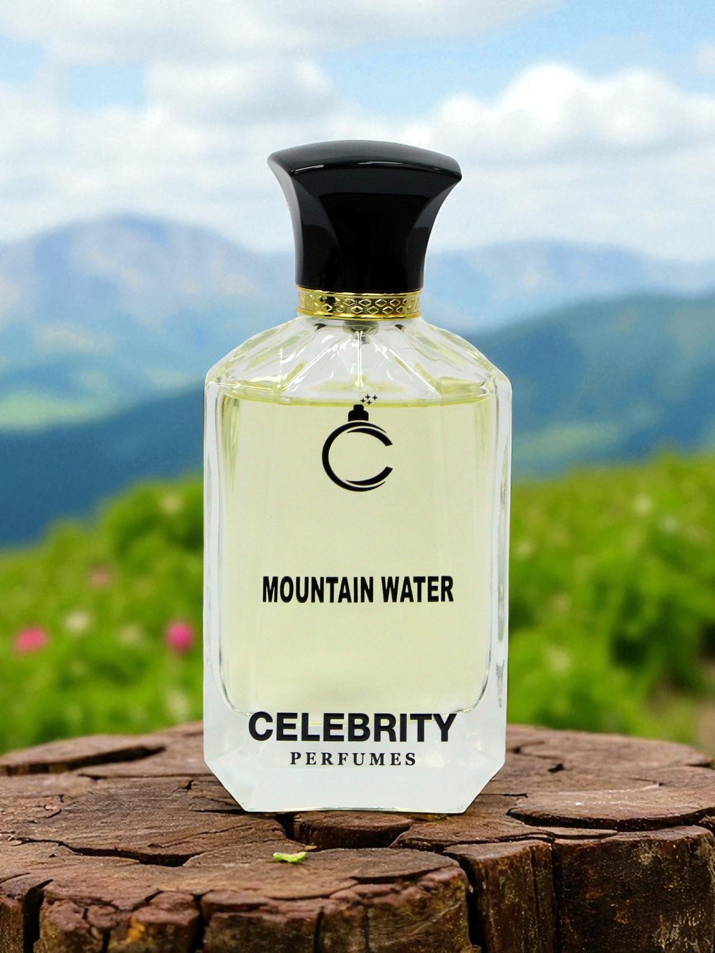 Mountain Water - Silver Mountain Water