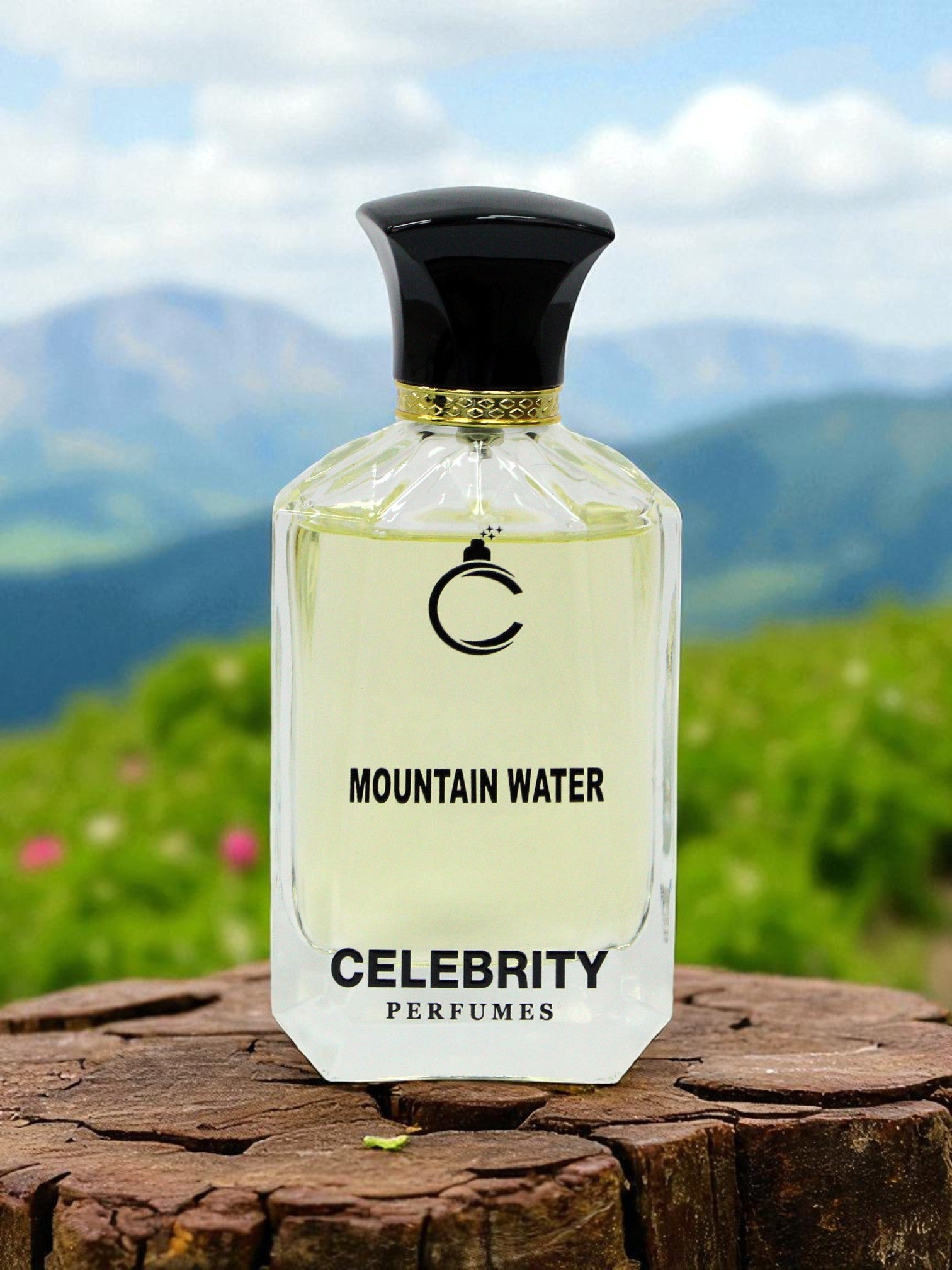 Mountain Water - Silver Mountain Water