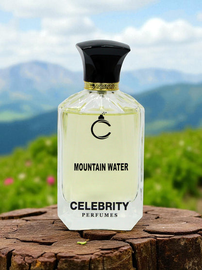 Mountain Water - Silver Mountain Water