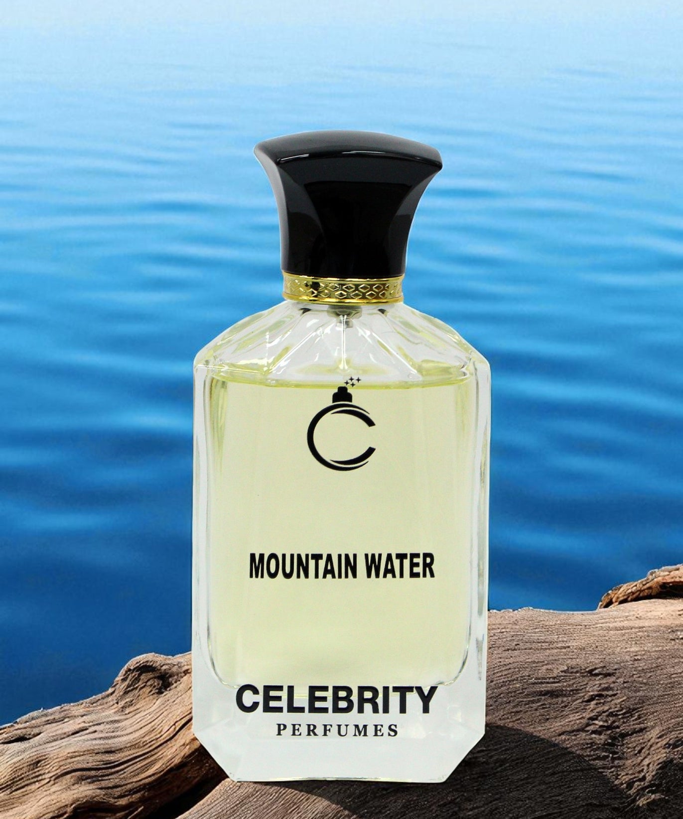 Mountain Water - Silver Mountain Water