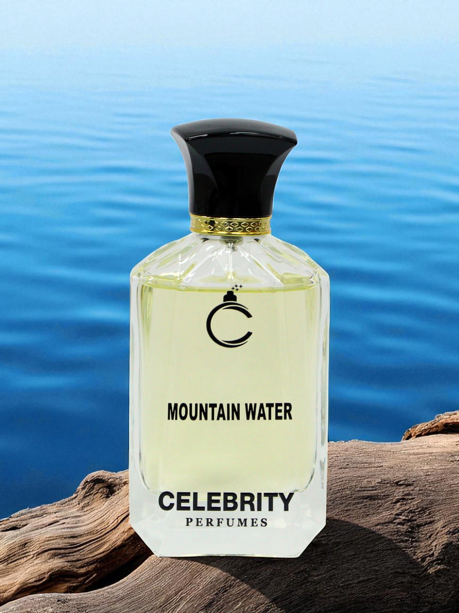 Mountain Water - Silver Mountain Water