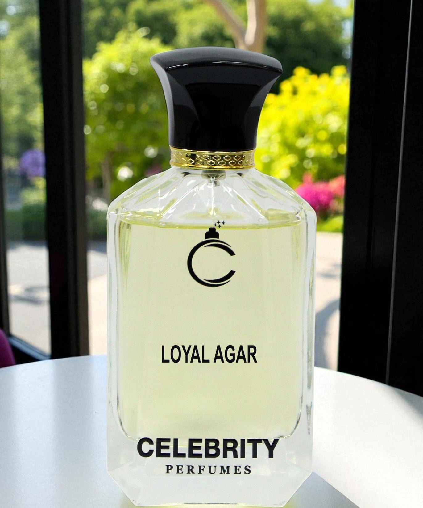 Loyal Agar - Layton