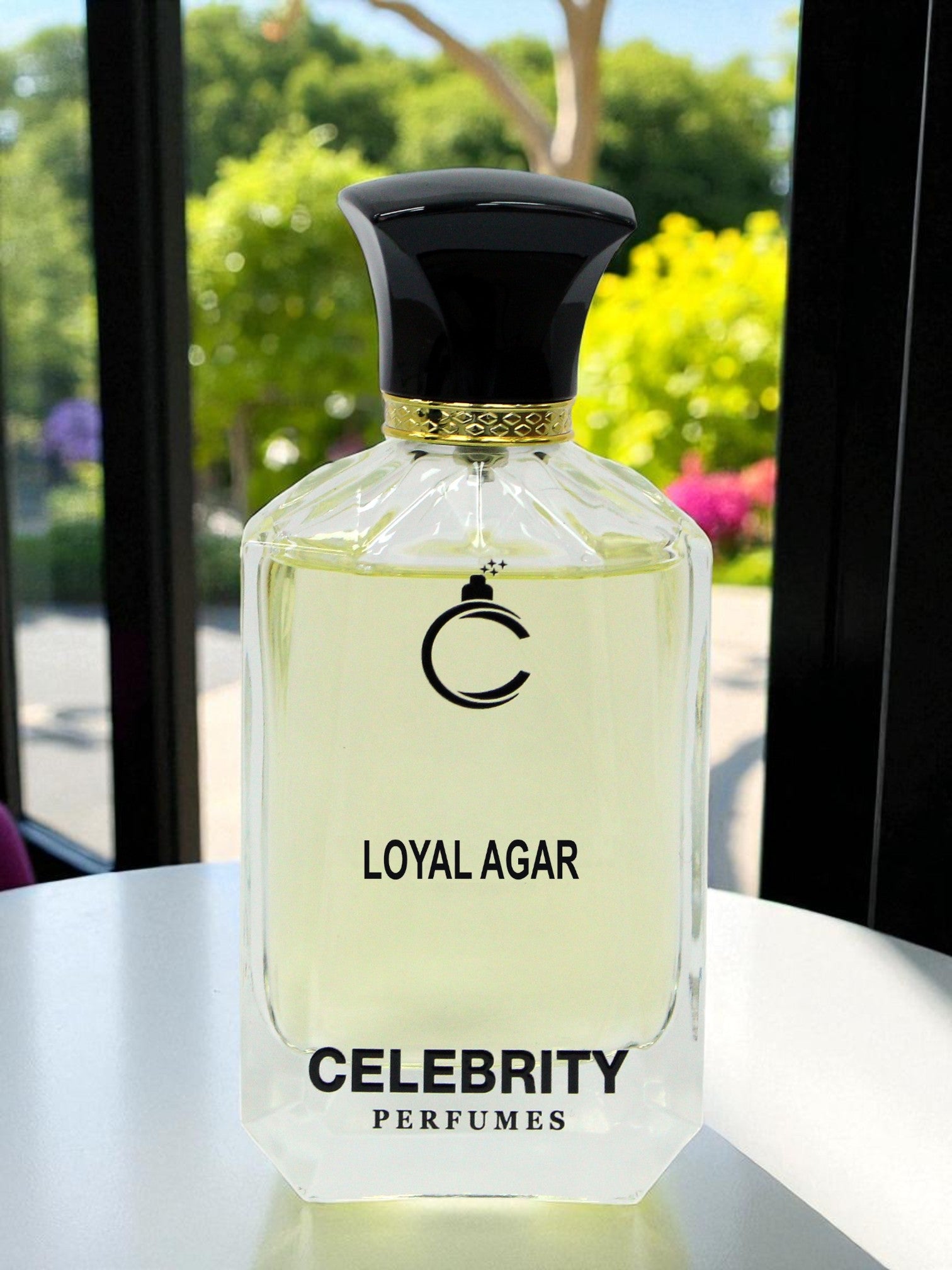 Loyal Agar - Layton