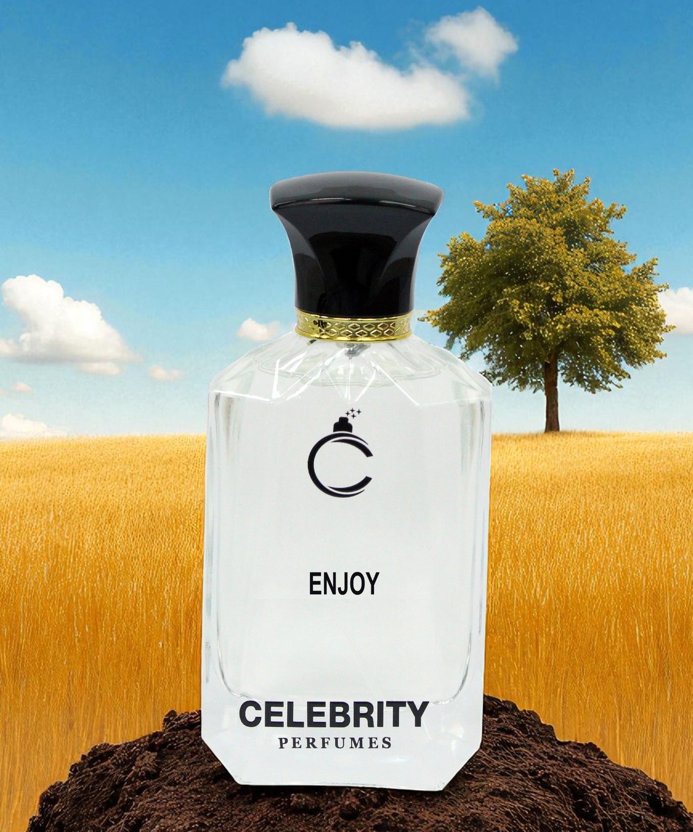 Enjoy  - Joy