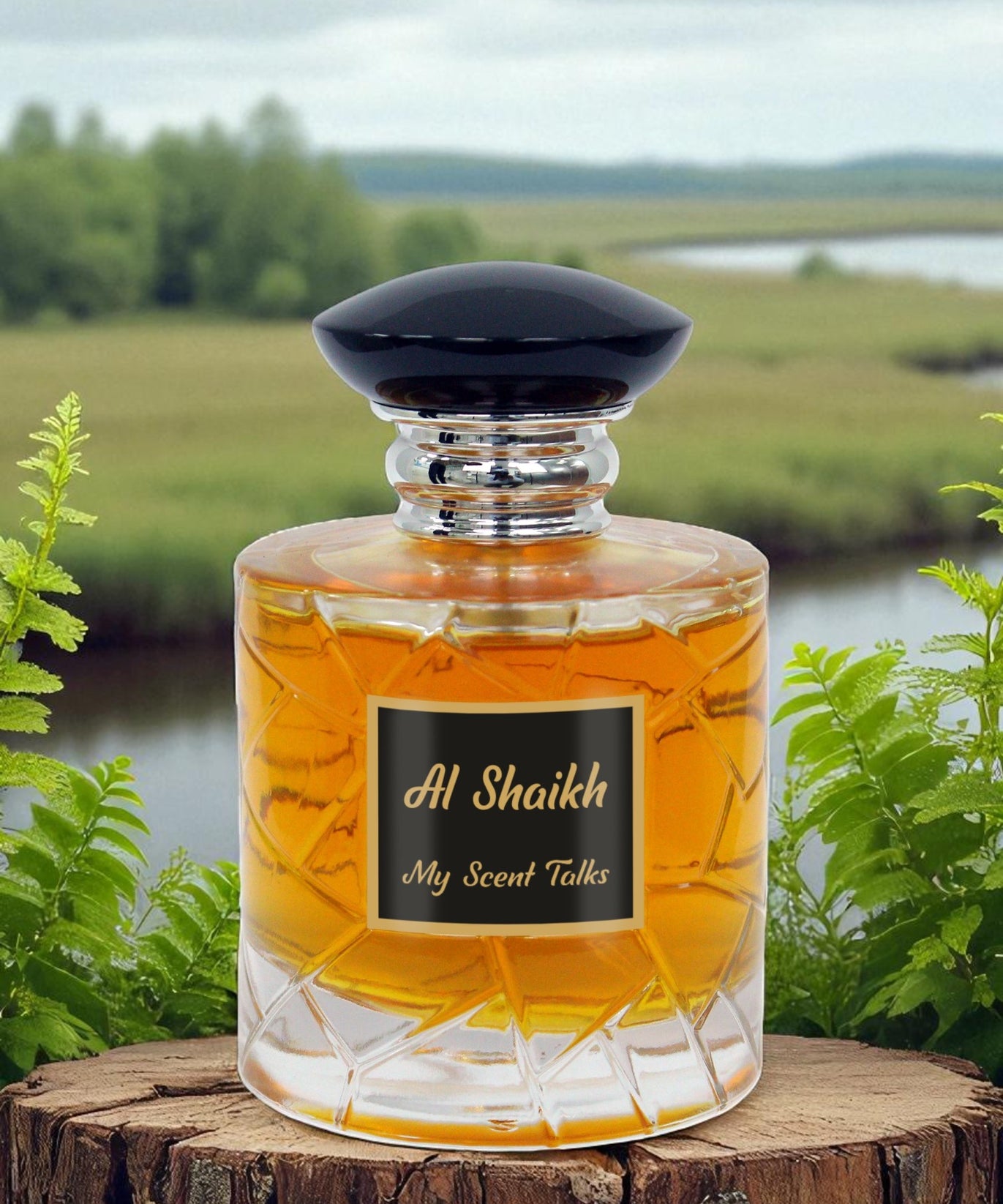 Al Shaikh - Althair