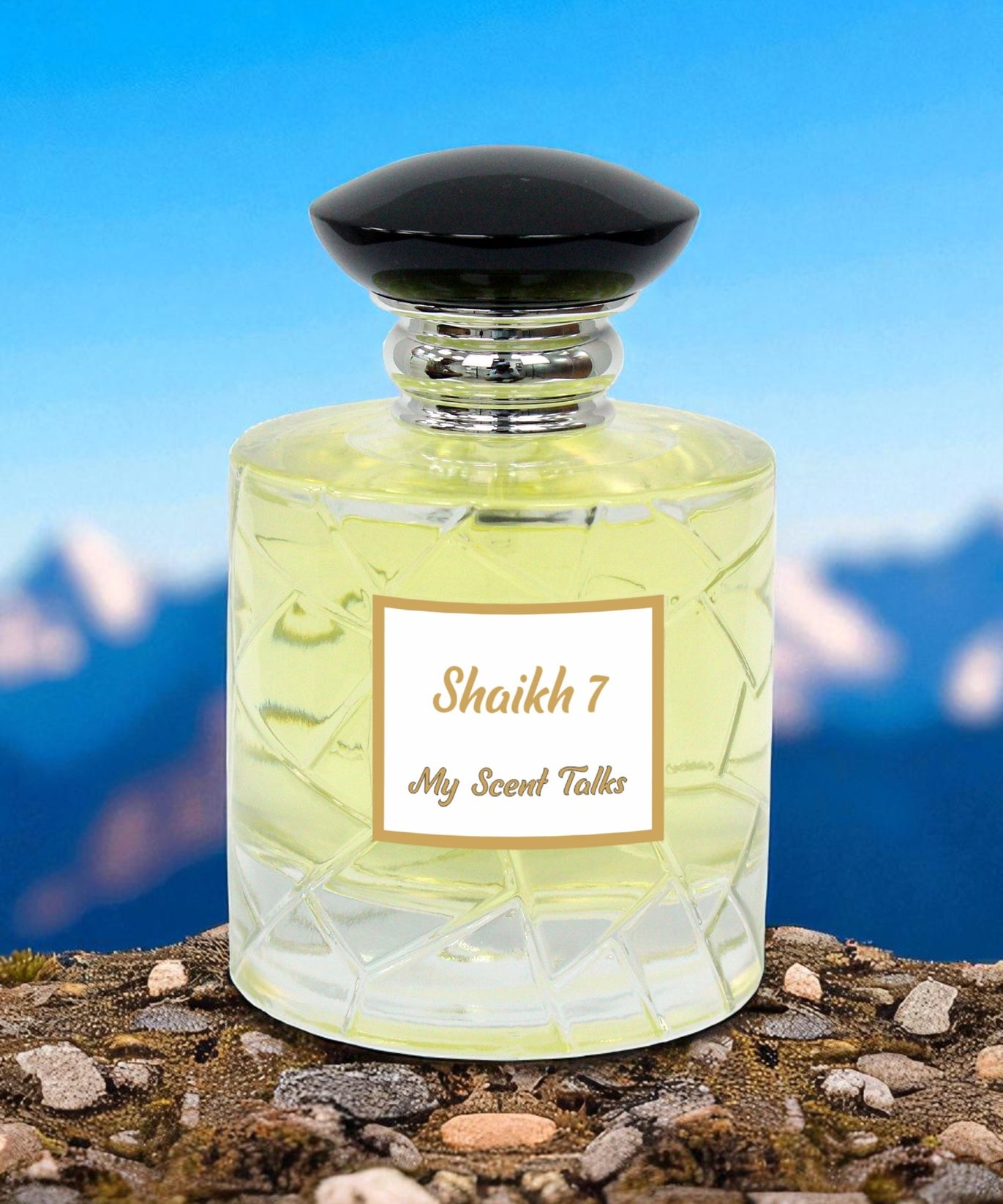 Shaikh 7- Opulent Classic Shaikh