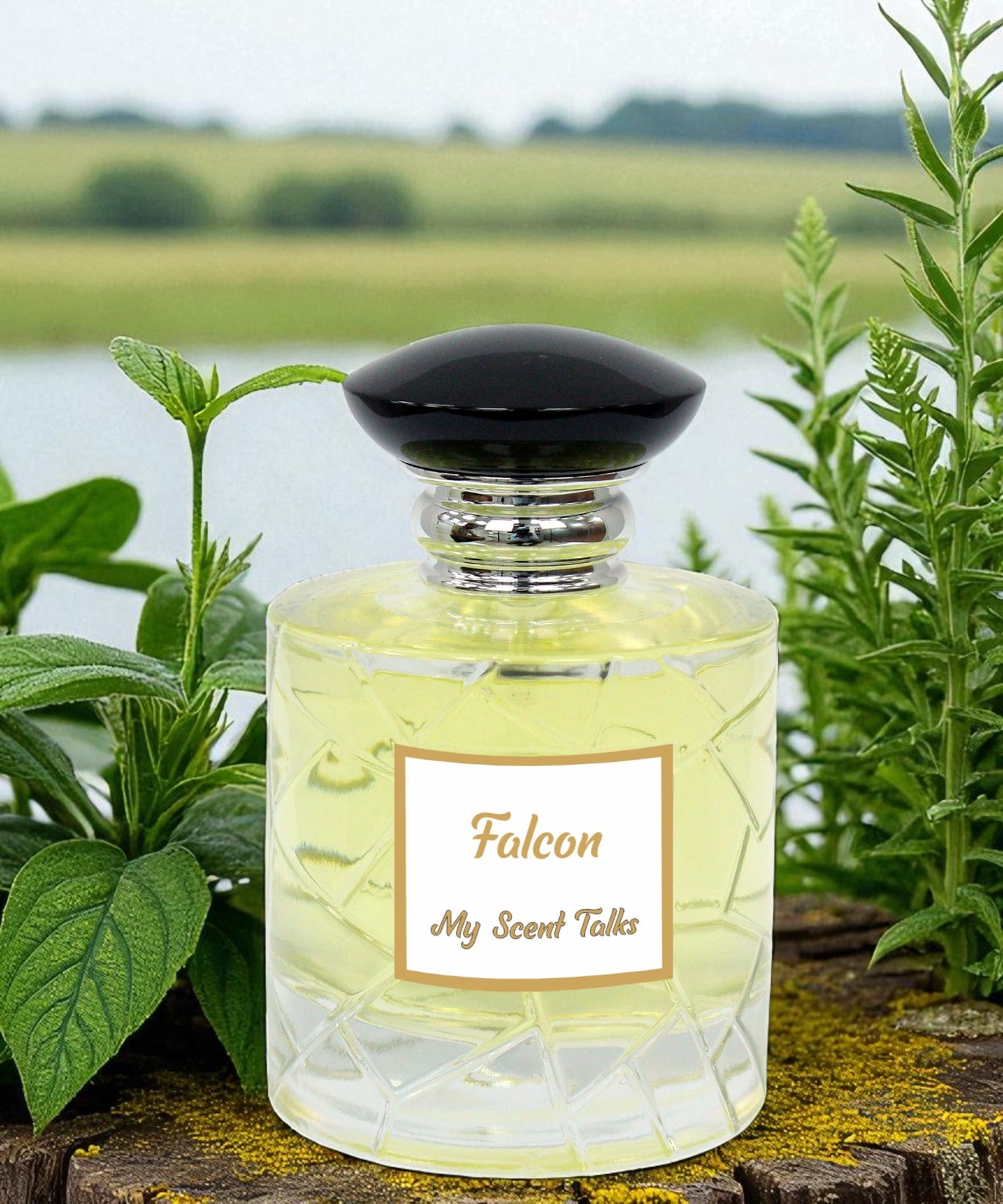 Falcon - Falkar
