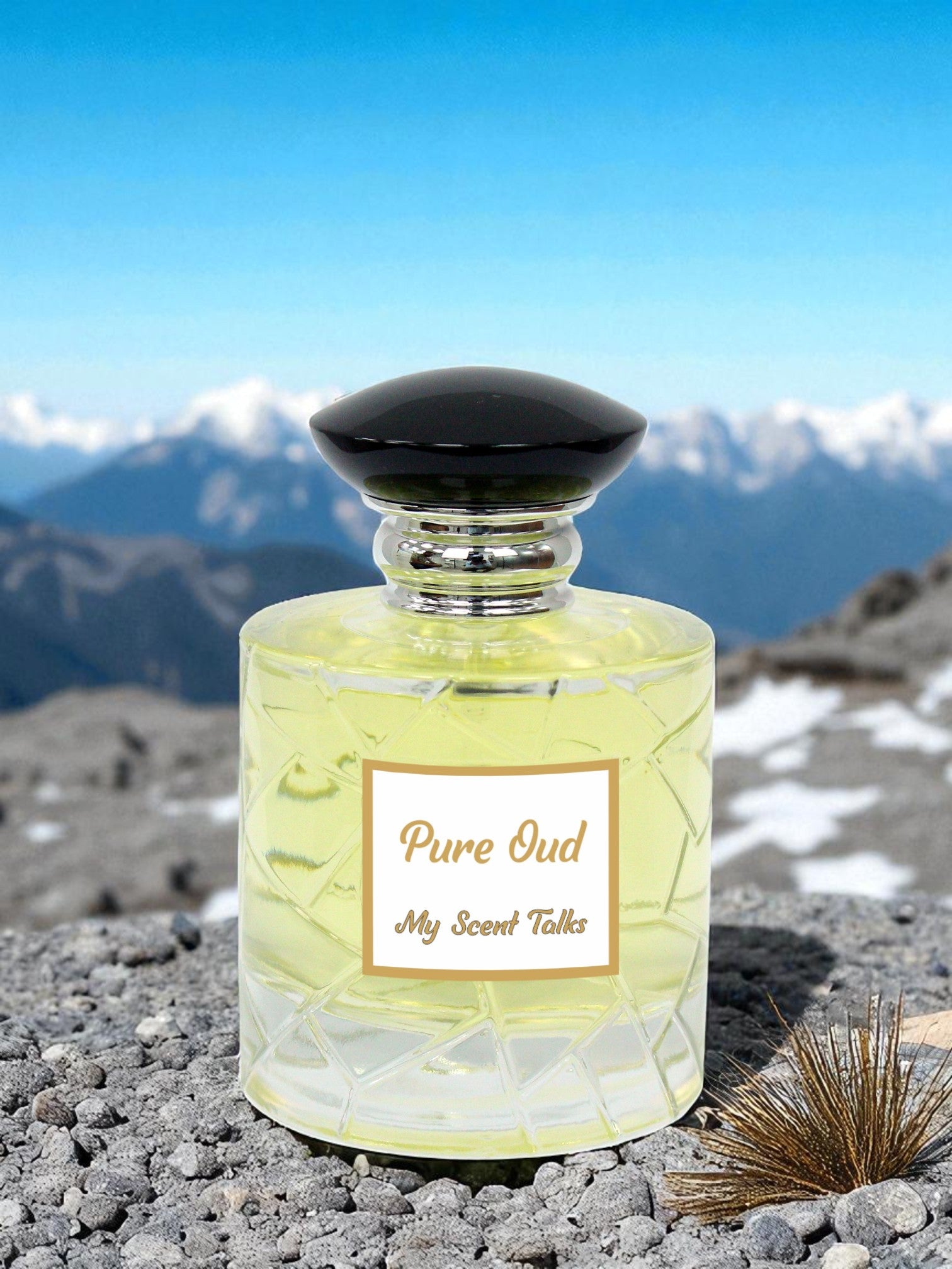 Pure Oud
