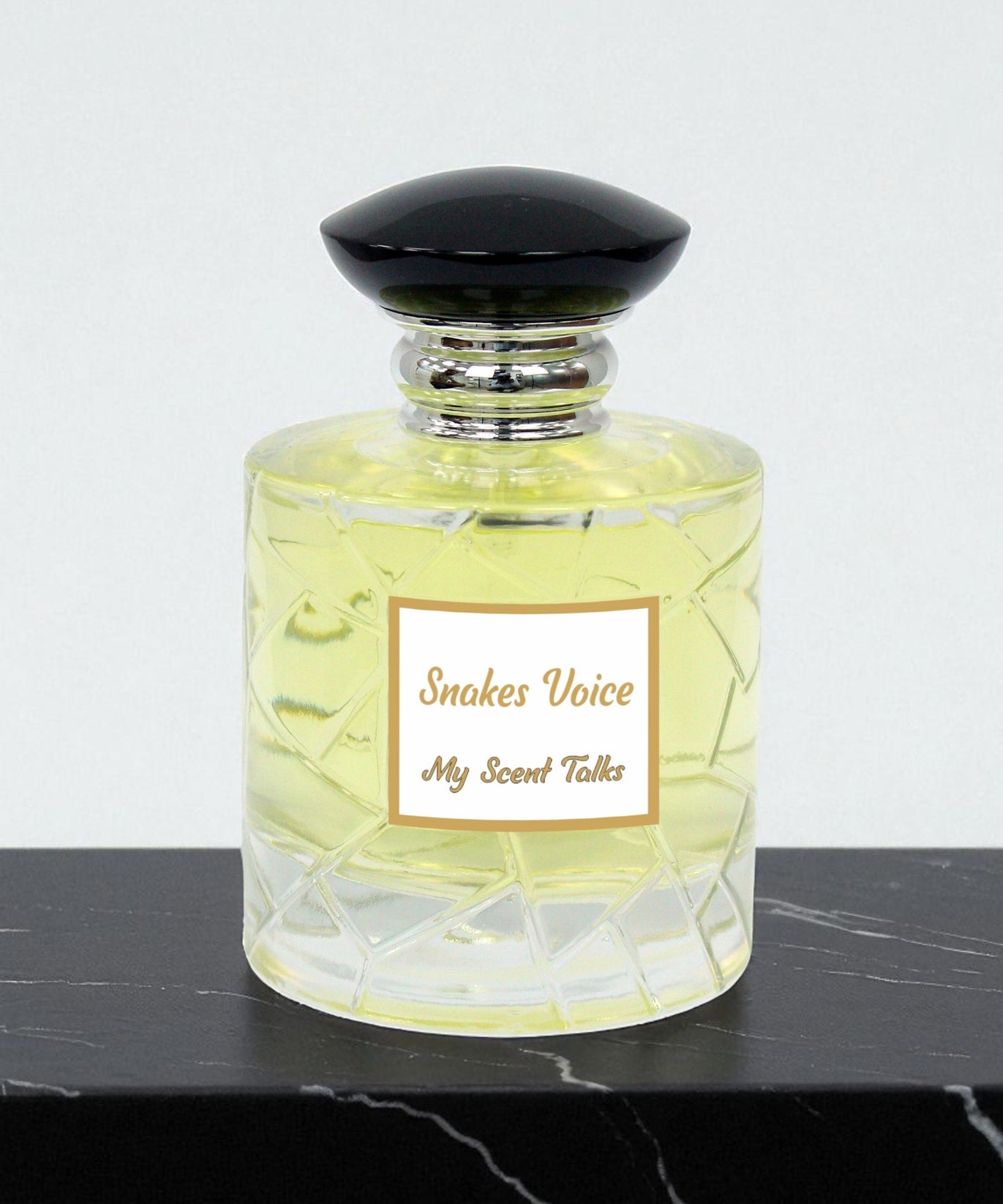 Snake Voice - Voice of Snake