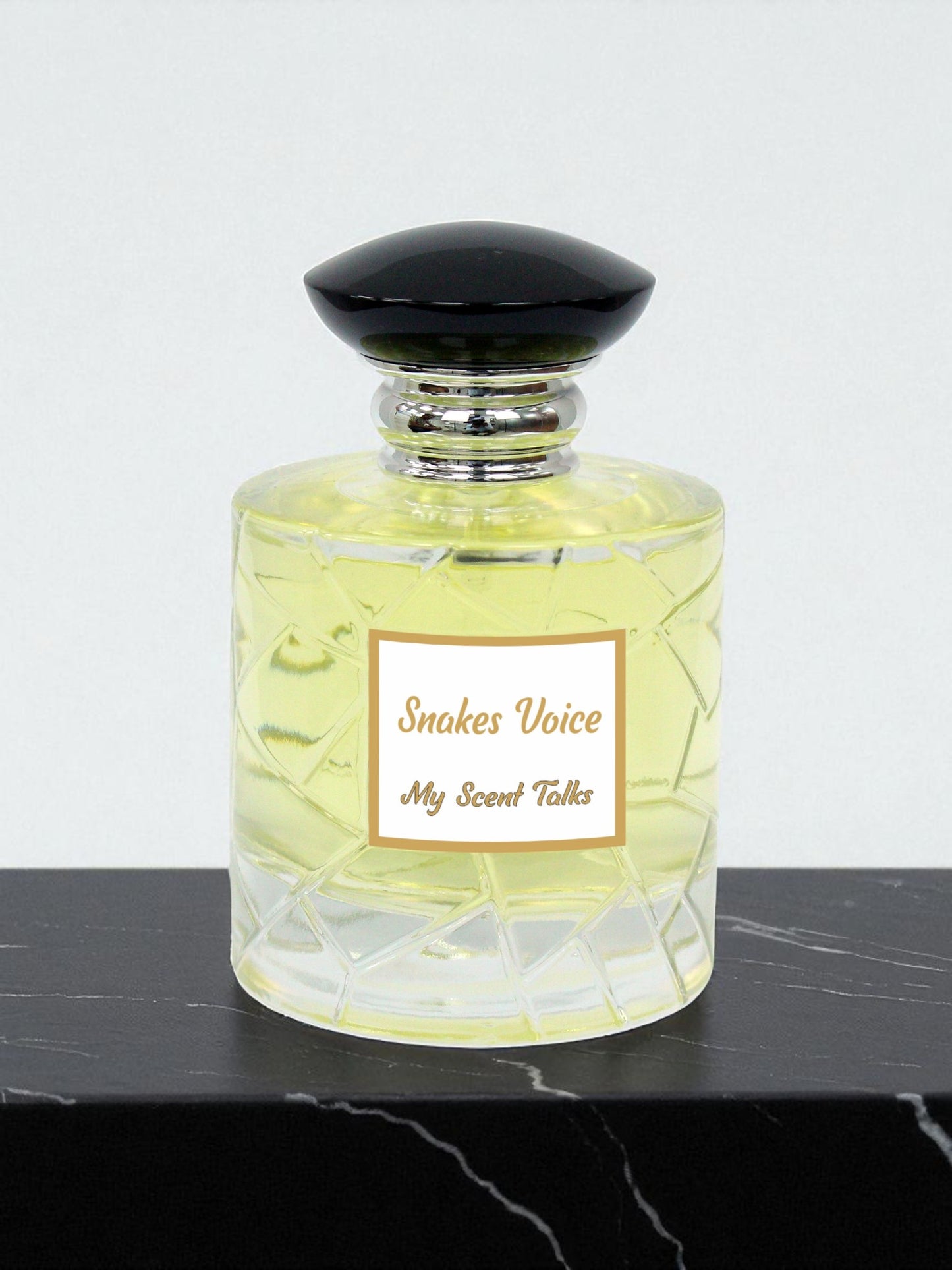 Snake Voice - Voice of Snake