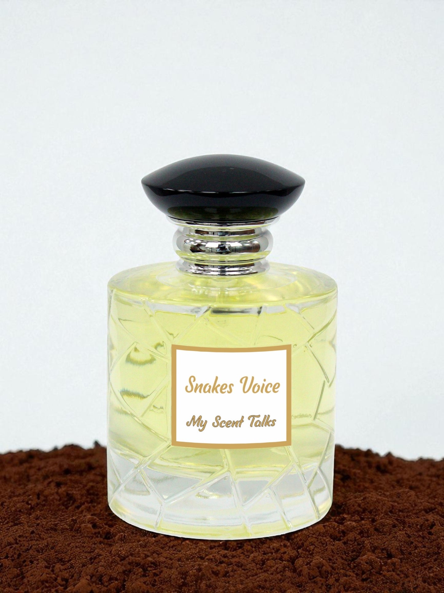 Snake Voice - Voice of Snake