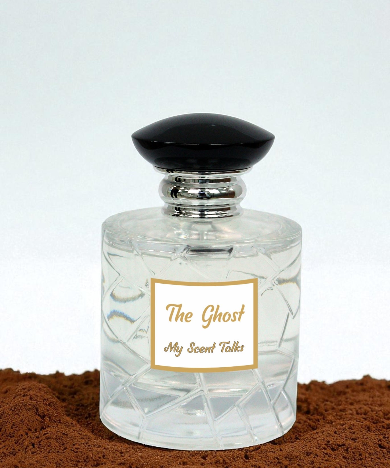 The ghost - Mojave Ghost