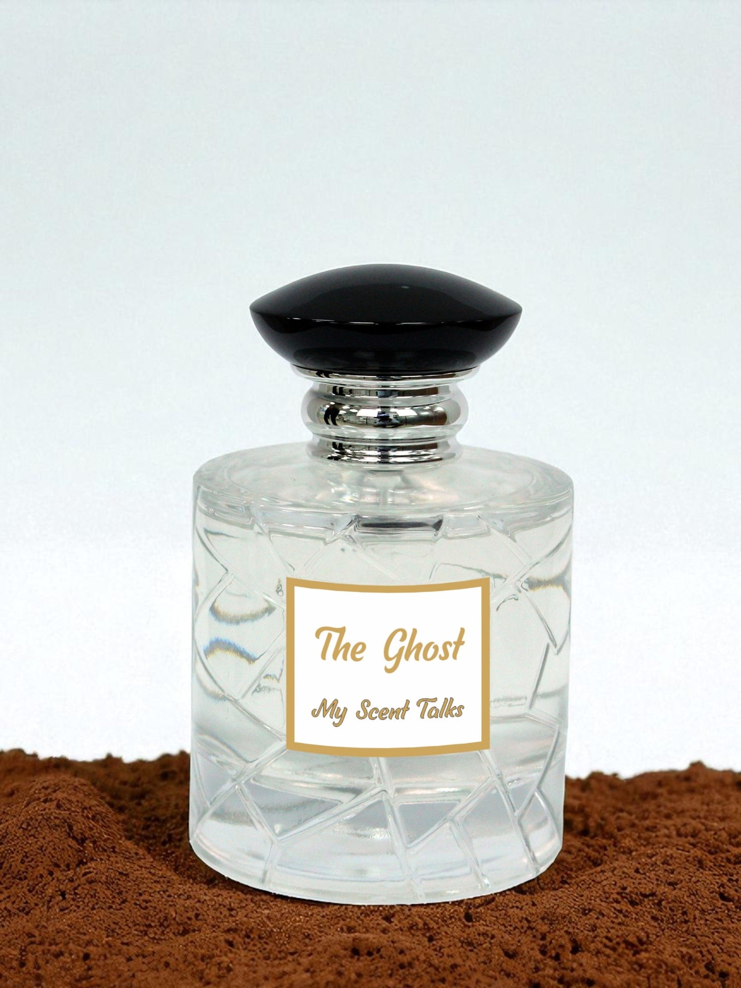 The ghost - Mojave Ghost