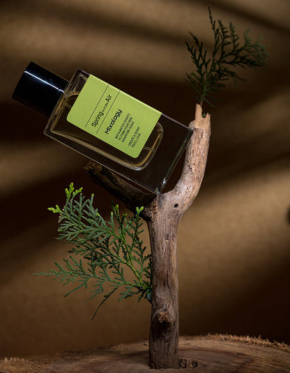 Spring is in the Air